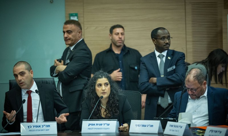 יועמ"שית הכנסת: "להפריד בין סלידה לתנאי החוק"