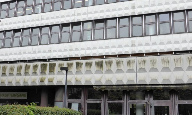 אנטישמיות בברלין: נער יהודי הותקף בבית ספר