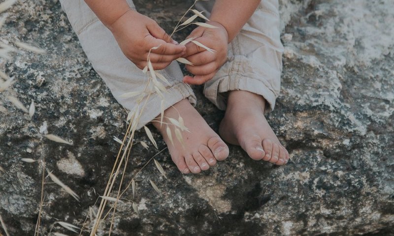 מכבים שריפות: המיזמים המרגשים למען נפגעי השריפה