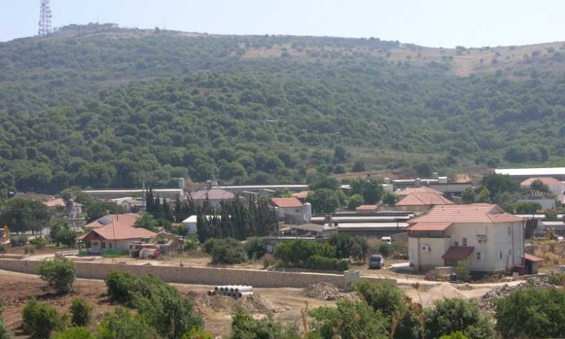 ירי לעבר חיילים במרגליות, צה"ל בסריקות אחר המחבל