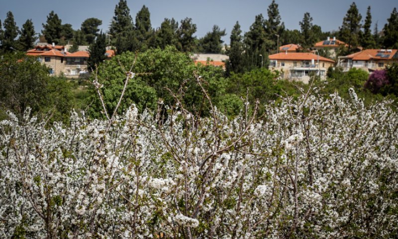 מגרעון לצמיחה: מועצת גוש עציון הצליחה בתהליך ההתייעלות