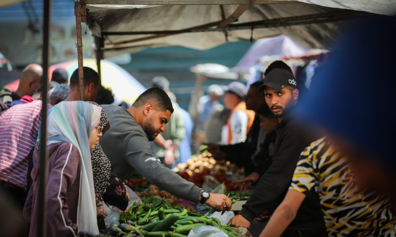 המתפ"ש: הילדה העזתית שלכאורה מתה מרעב &ndash; סבלה מלוקמיה