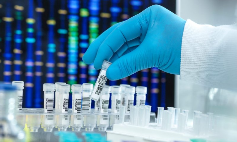 פרשת ההפריה: ואולי מדובר במקרה של כימרה אנושית?