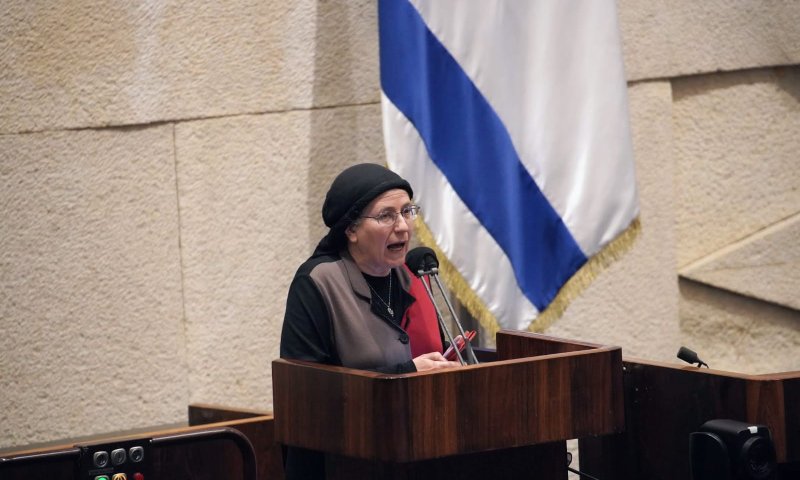 בונים כוורת: כך יראו הצוותים של השרים הסרוגים