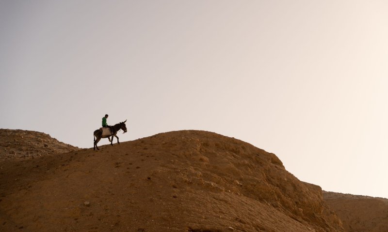 'שפת התהומות': סיפור ישראלי מרתק