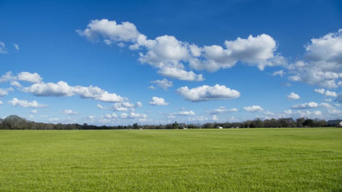 ירידה בטמפ' ורוחות; גל חום נוסף בדרך. תחזית מזג אוויר - סרוגים
