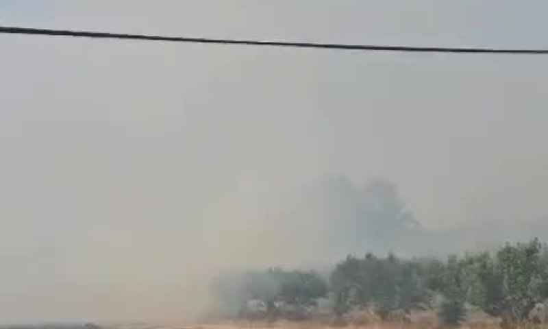 הושגה שליטה על השריפה בכפר אביב: בתי התושבים ניצלו