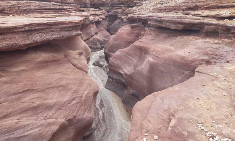 מרהיב: צפו בזרימה בקניון האדום בהרי אילת