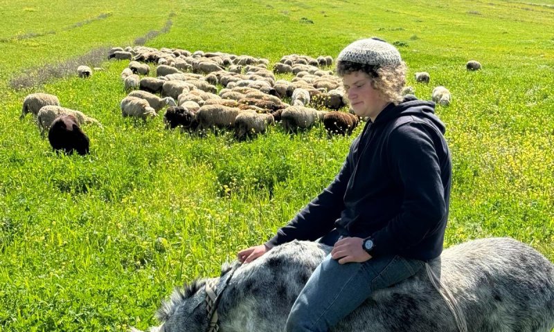 התנפל ודקר: כתב אישום נגד רוצח בנימין אחימאיר