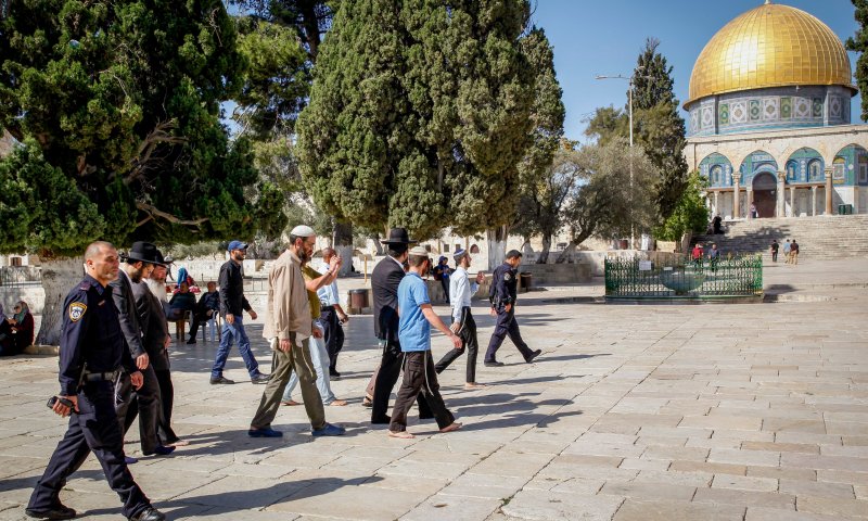 הסכסוכים הפנימיים של ארגוני הר הבית נחשפים