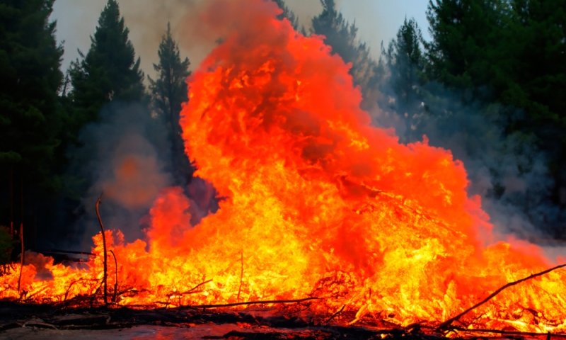 שריפות ענק ביוון: 18 בני אדם נהרגו ביערות