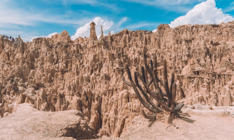 טרגדיה בבוליביה: ישראלי נהרג בתאונת טרקטורון