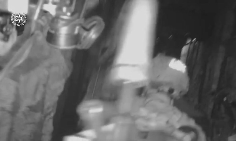 צפו: כך חוסל ראש ארגון "גוב האריות"