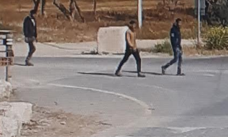 הקשר בין הגניבות מבסיס צאלים למשפחה המודרנית