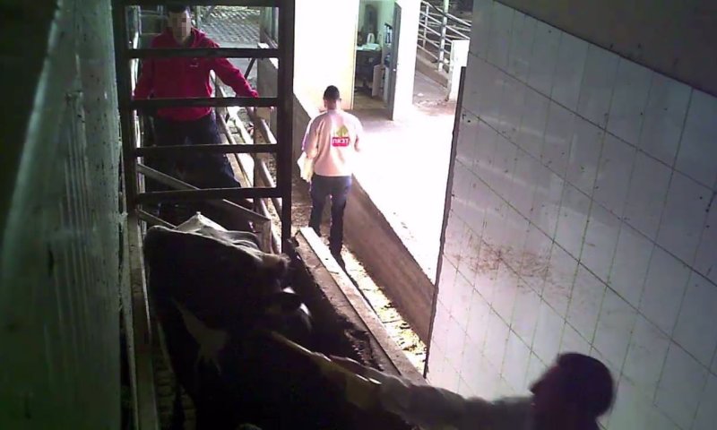 איך אתם ממשיכים לחשוב שהבשר כשר?