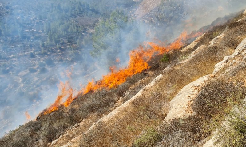 שריפה בהר גילה: ציר וואלג'ה נחסם לתנועה