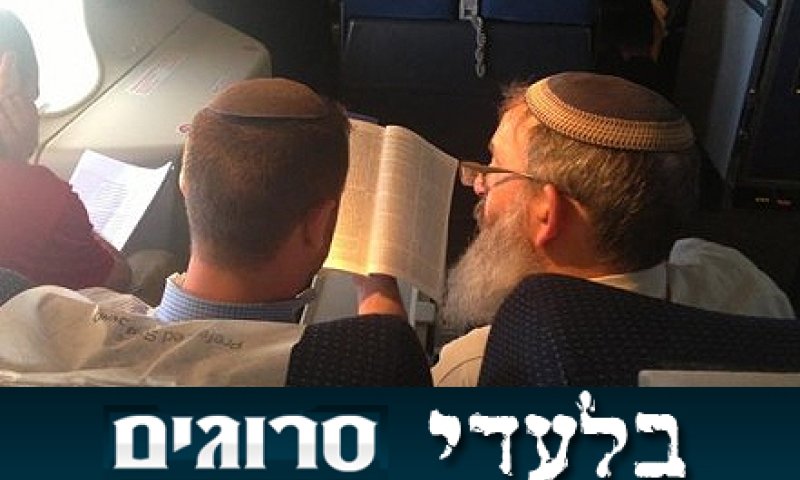 ובינתיים: הרב סתיו לומד דף יומי במטוס לארה"ב