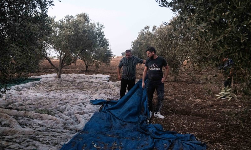 ההרוגים מפגיעת הרקטות בקריות: מינא וכרמי חסון משפרעם