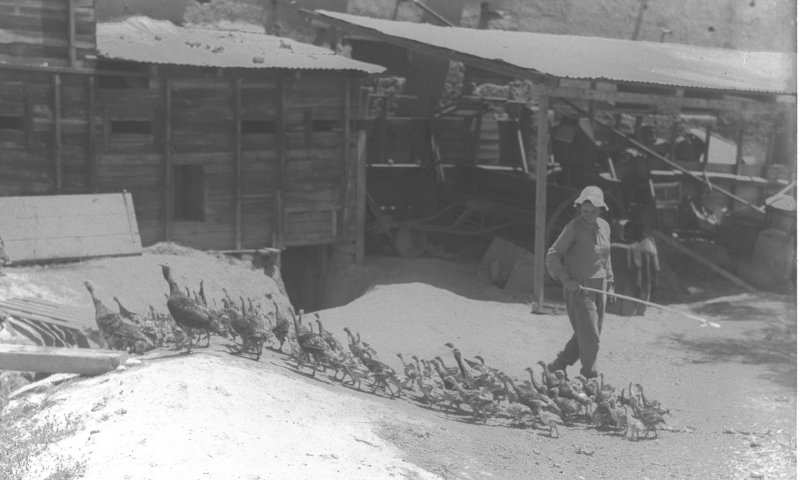 היום בהיסטוריה: הקרב על שלושת התילים שקבע את הגבול המזרחי