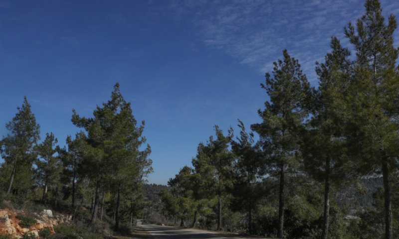 הפוגה מהחורף; הגשם יחזור בקרוב: תחזית מזג האוויר