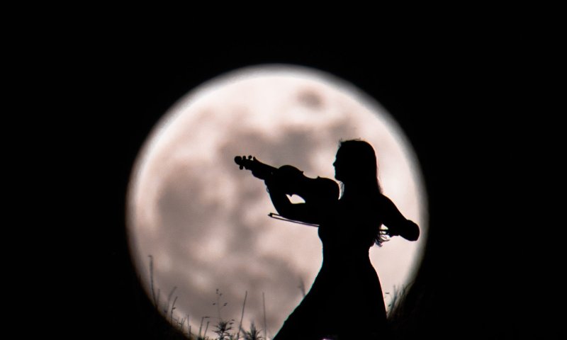 הכינו מצלמות: הלילה יראה מחזה מרהיב בשמיים