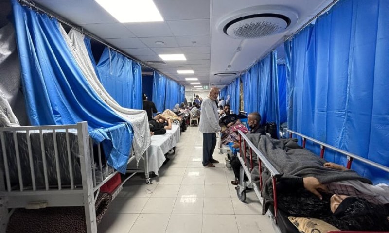 בכירי חמאס והג'יהאד: אלו המחבלים שנעצרו בשיפא