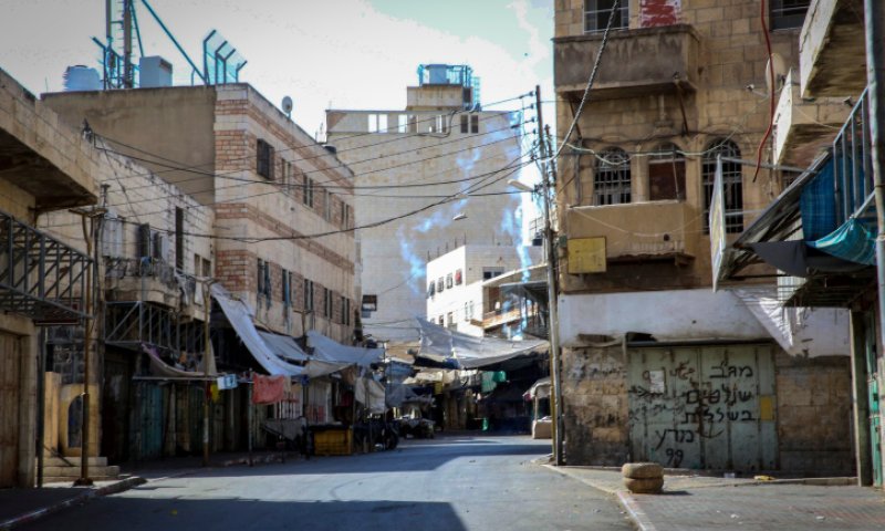 "מקרה מזעזע": ראש עיריית חברון קרא להרוג כלבים