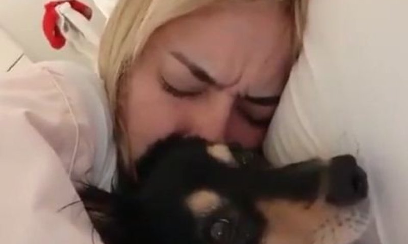 בלי להתכוון: הסרטון מהממ"ד שחורך את הרשת