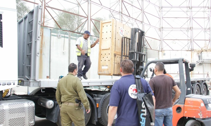 עזבו את עזה ויפתחו דף חדש במקום אחר בעולם