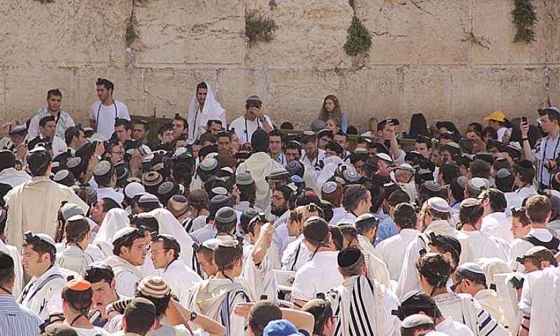 עוצמה: תלמידי ה'הסדר' בתפילת חג בכותל