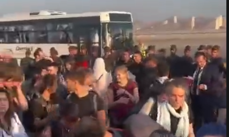 אחורה פנה: מצרים מגרשת פעילים שניסו להגיע לגבול עזה