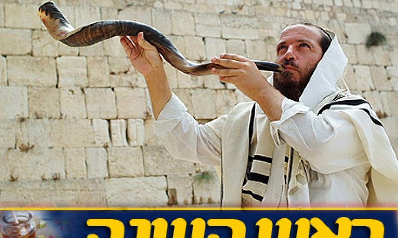 שו"ת סמס: הלכות תקיעת שופר לחיילים