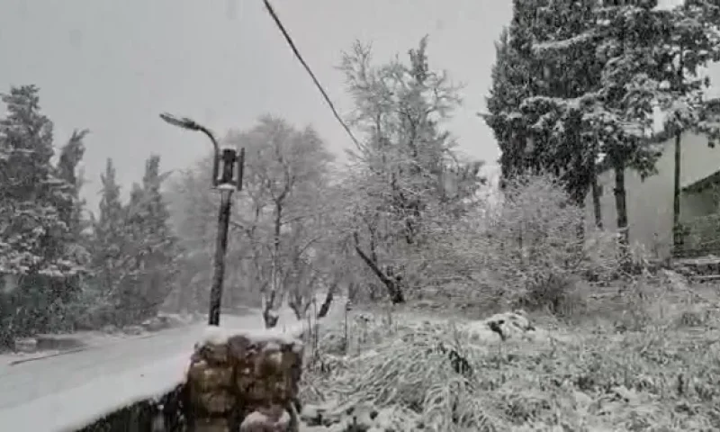 סופת שלגים, ברד, רוחות והצפות: תחזית מזג אוויר