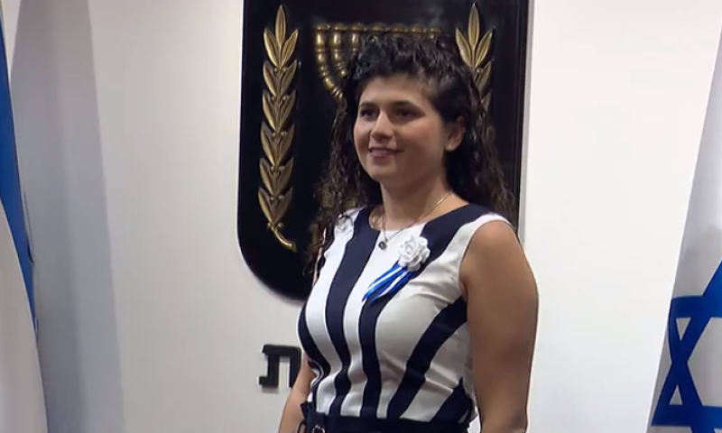 "לא הצלחנו להיכנס להריון": שרן השכל נאבקת להיות אמא