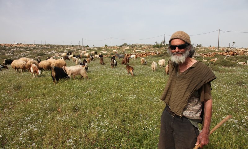 אבל בשומרון: רועה הצאן האגדי הלך לעולמו