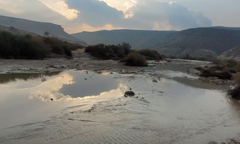 אחרי הגשם: זרימות בנחל חתירה. צפו