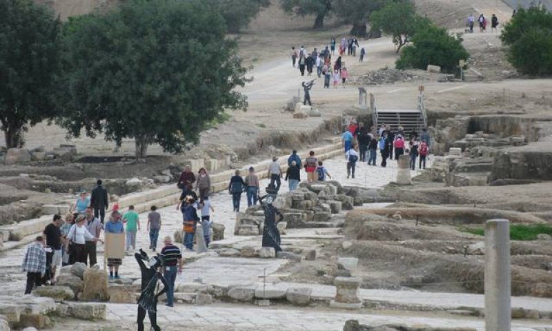 מטיילים בסוכות: עדיף ציפורי אחת ביד
