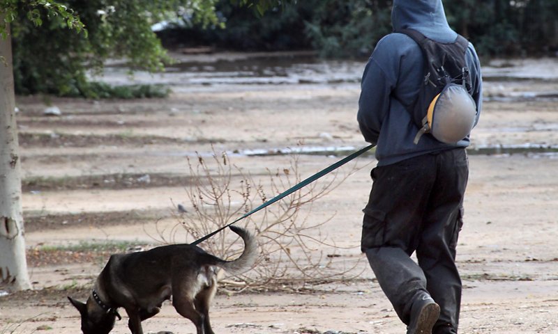 הדיינים התירו עגונה, למרות שגופת הבעל לא נמצאה