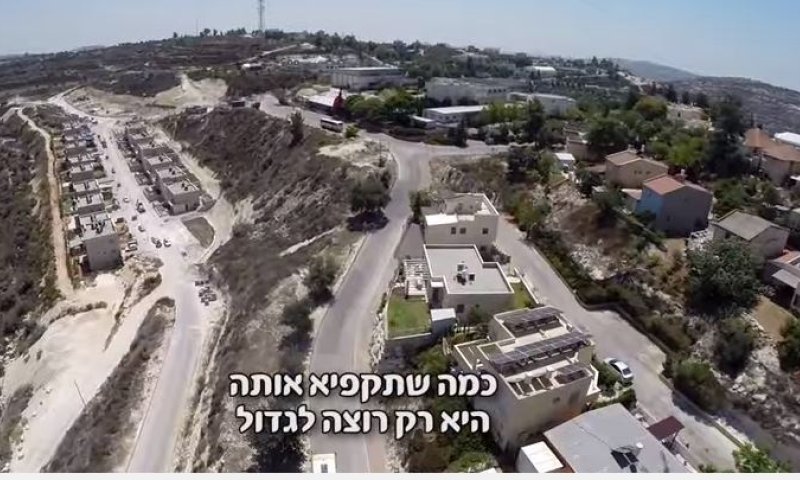 משה פרץ גרסת קדומים: "היא רק רוצה לגדול"