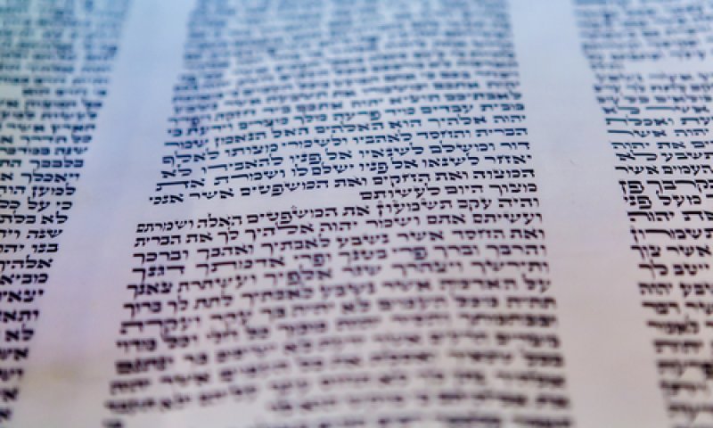 תורה ששרה בשני קולות/ הרב אלקנה שרלו