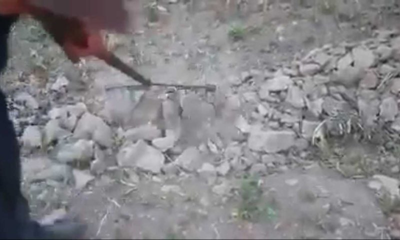 חרפה: ערבים בונים טרסות משרידי בית המקדש