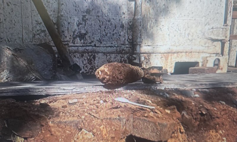 בהלה ברחובות: פצצת מרגמה אותרה ברחוב הראשי