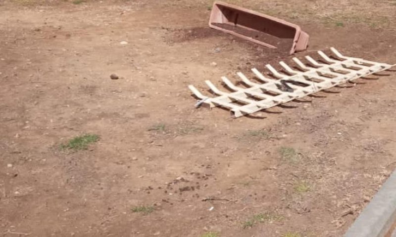 טרגדיה: בת 23 נשענה על סורגים וצנחה אל מותה