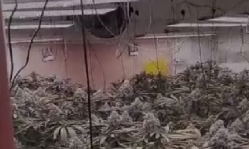 אישום: החזיקה 315 ק"ג סמים בבית בפתח תקווה