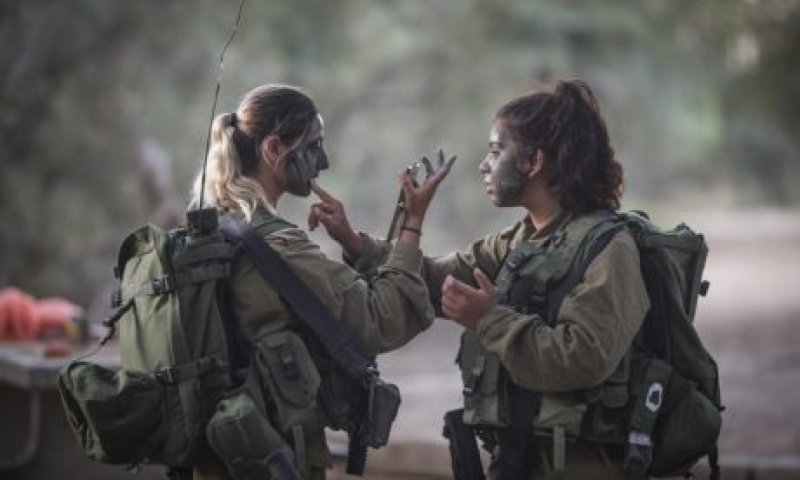 "תודה על פקודת השירות המשותף"