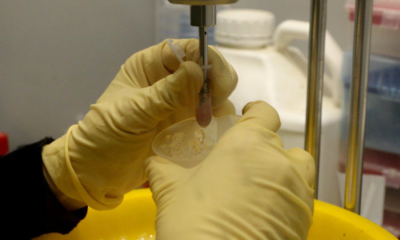 תעשיית ילדים יתומים: מה עם טובת הילד?