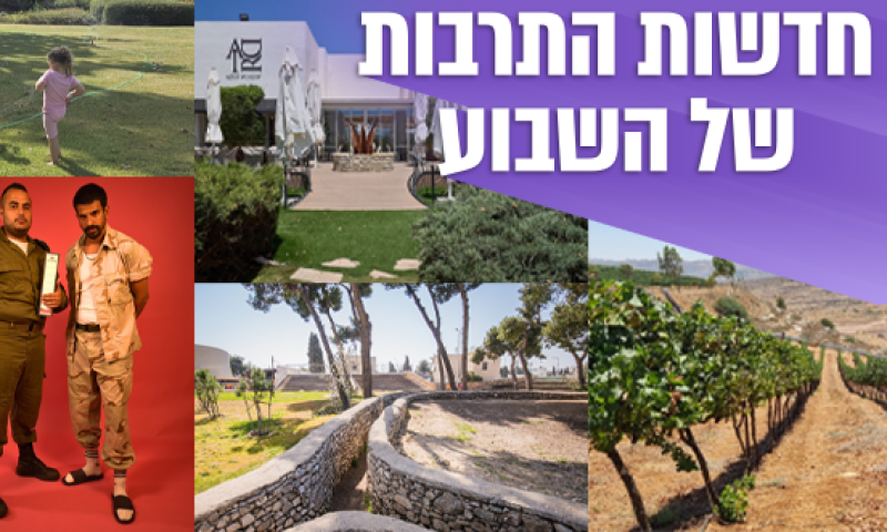 תרבות, טבע וטעמים: הקיץ הישראלי שמרגש את כל החושים