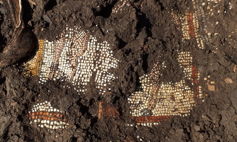 פסיפס נדיר נחשף בבית כנסת מהתקופה הרומית