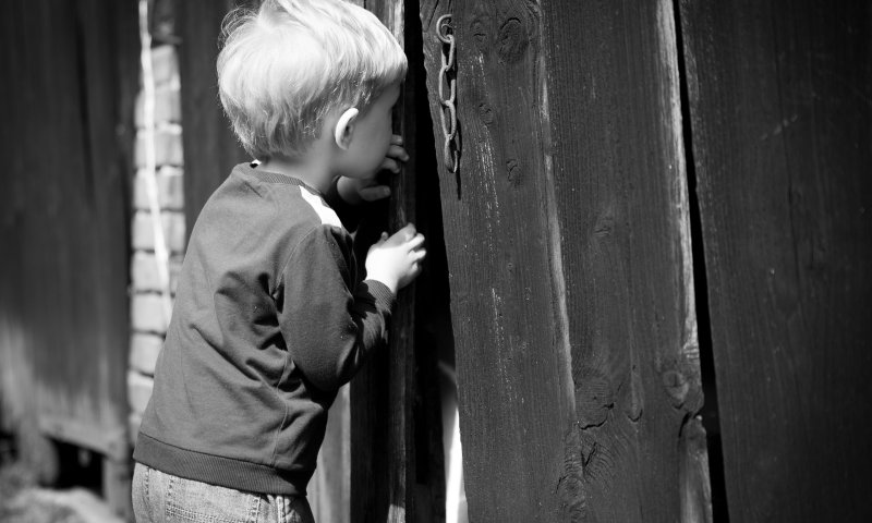 צפו: קצר על הפרשה | למה הסקרנות כל כך חשובה?