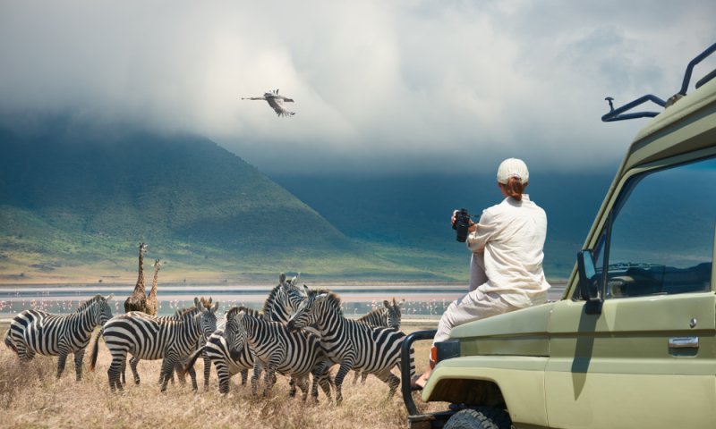 דיווח: המוסד סיכל פיגועים נגד ישראלים באפריקה